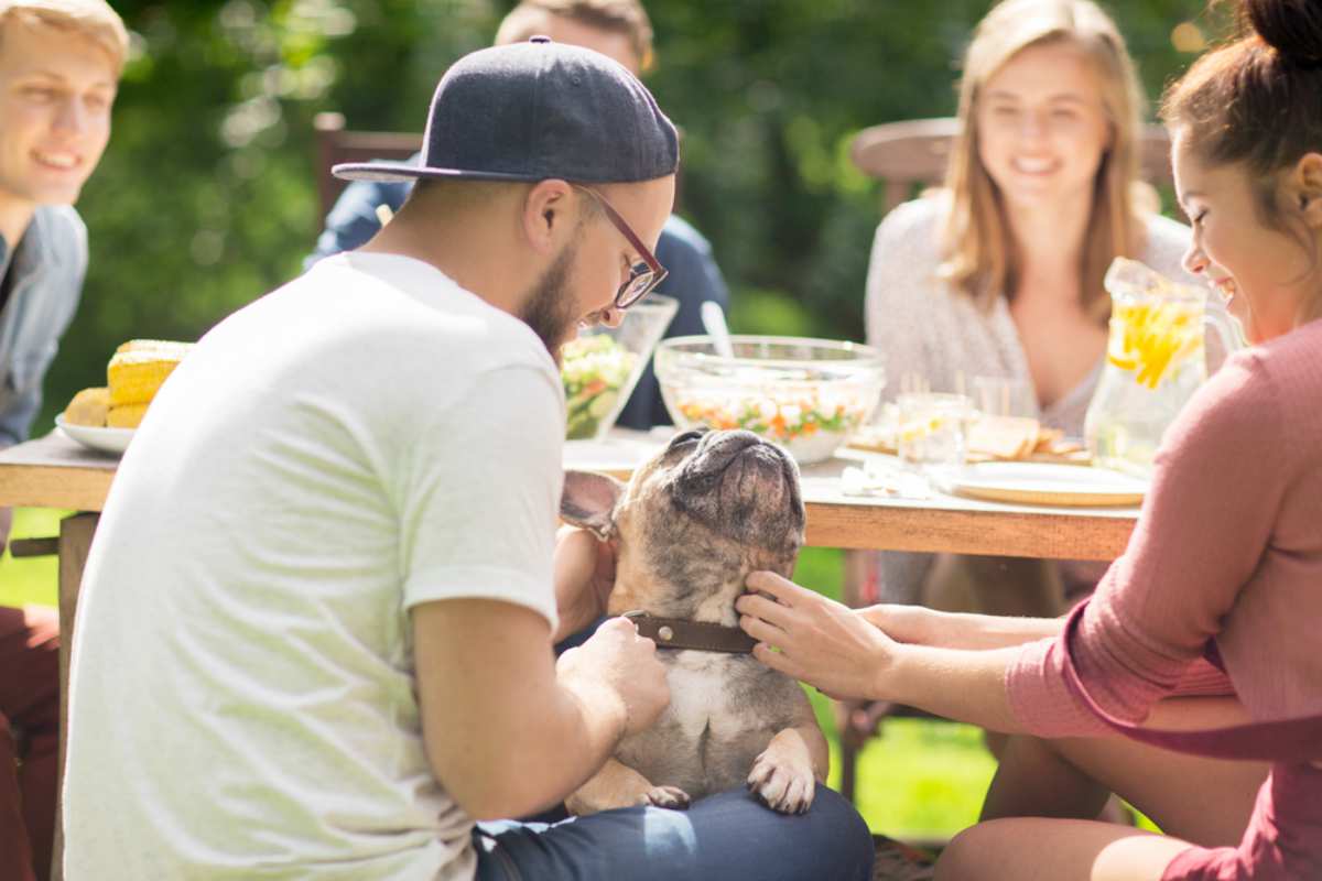 man holding dog on an outdoor lunch | How to Survive Your Mother In Law