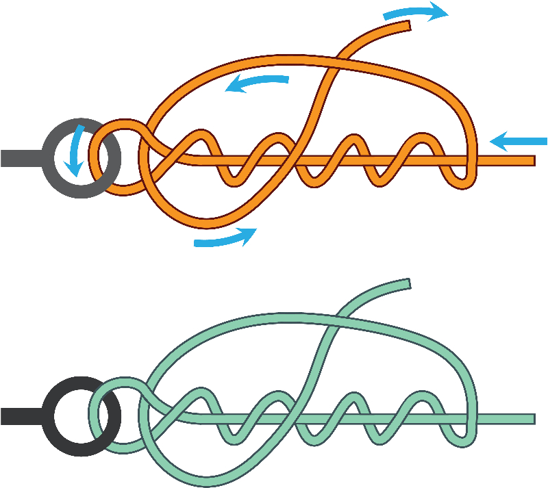 improved clinch knot diagram guide